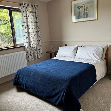 Long View Guest Accommodation Downpatrick Bagian luar foto
