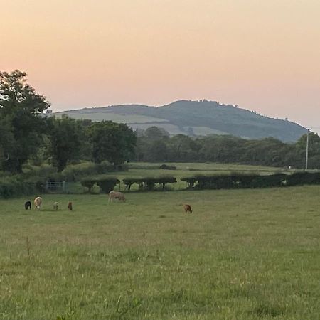 Long View Guest Accommodation Downpatrick Bagian luar foto