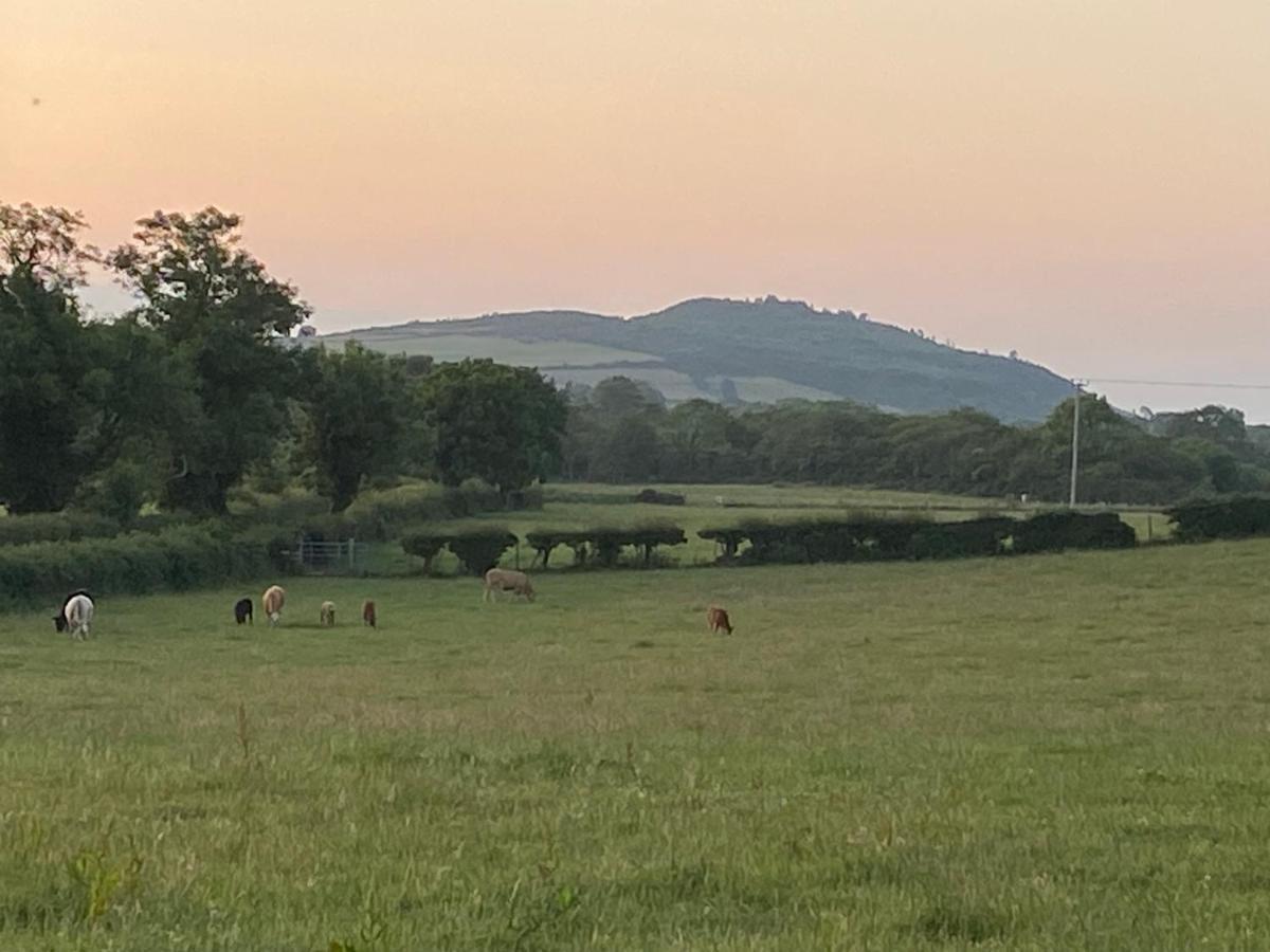 Long View Guest Accommodation Downpatrick Bagian luar foto