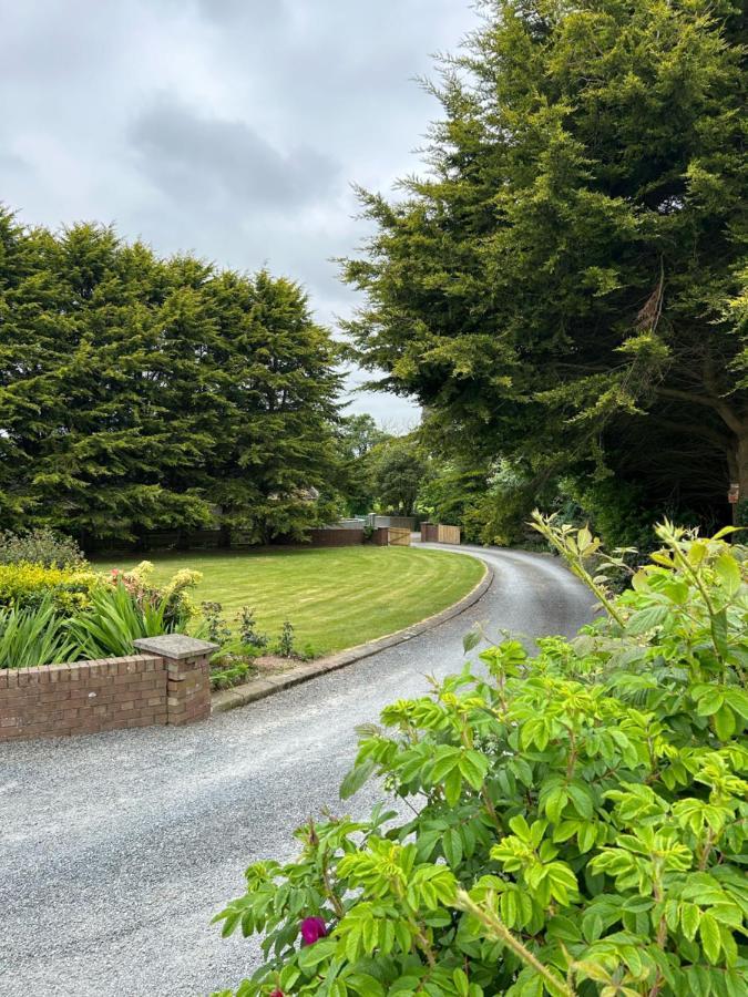 Long View Guest Accommodation Downpatrick Bagian luar foto